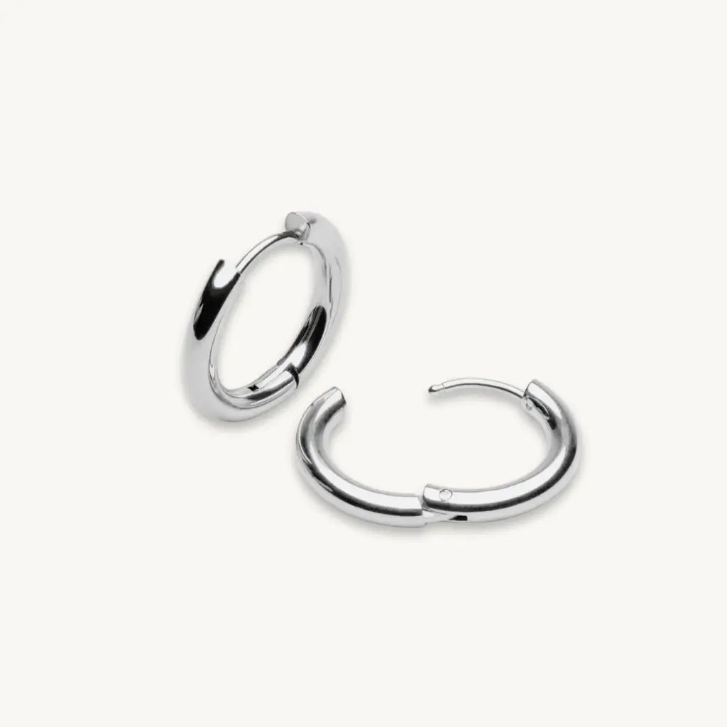 no-repeat center / cover url('https://cdn.shopify.com/s/files/1/0722/0183/0537/files/Silver.webp?v=1761996968')