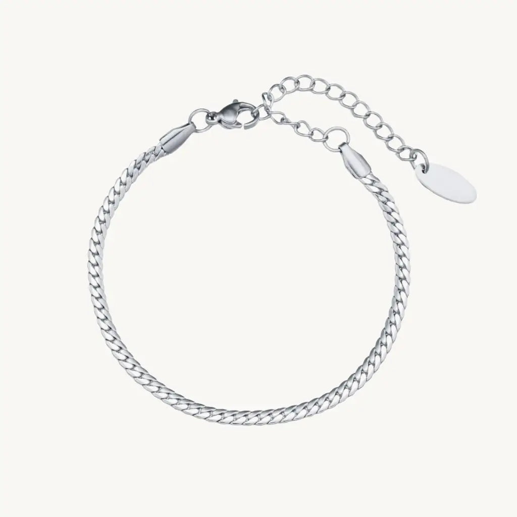 no-repeat center / cover url('https://cdn.shopify.com/s/files/1/0722/0183/0537/files/Silver.webp?v=1761996968')