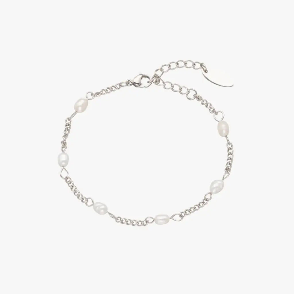 no-repeat center / cover url('https://cdn.shopify.com/s/files/1/0722/0183/0537/files/Silver.webp?v=1761996968')