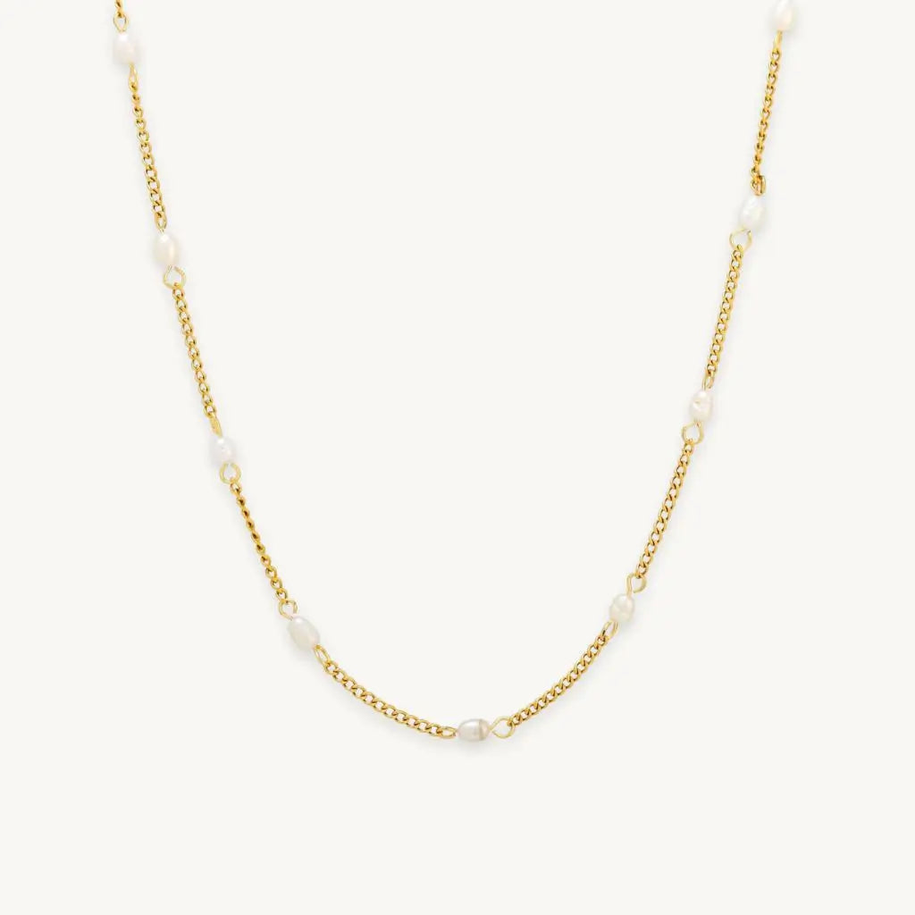 no-repeat center / cover url('https://cdn.shopify.com/s/files/1/0722/0183/0537/files/Gold.webp?v=1761996968')