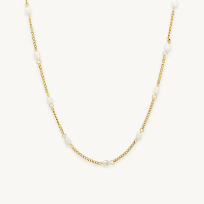 no-repeat center / cover url('https://cdn.shopify.com/s/files/1/0722/0183/0537/files/Gold.webp?v=1761996968')