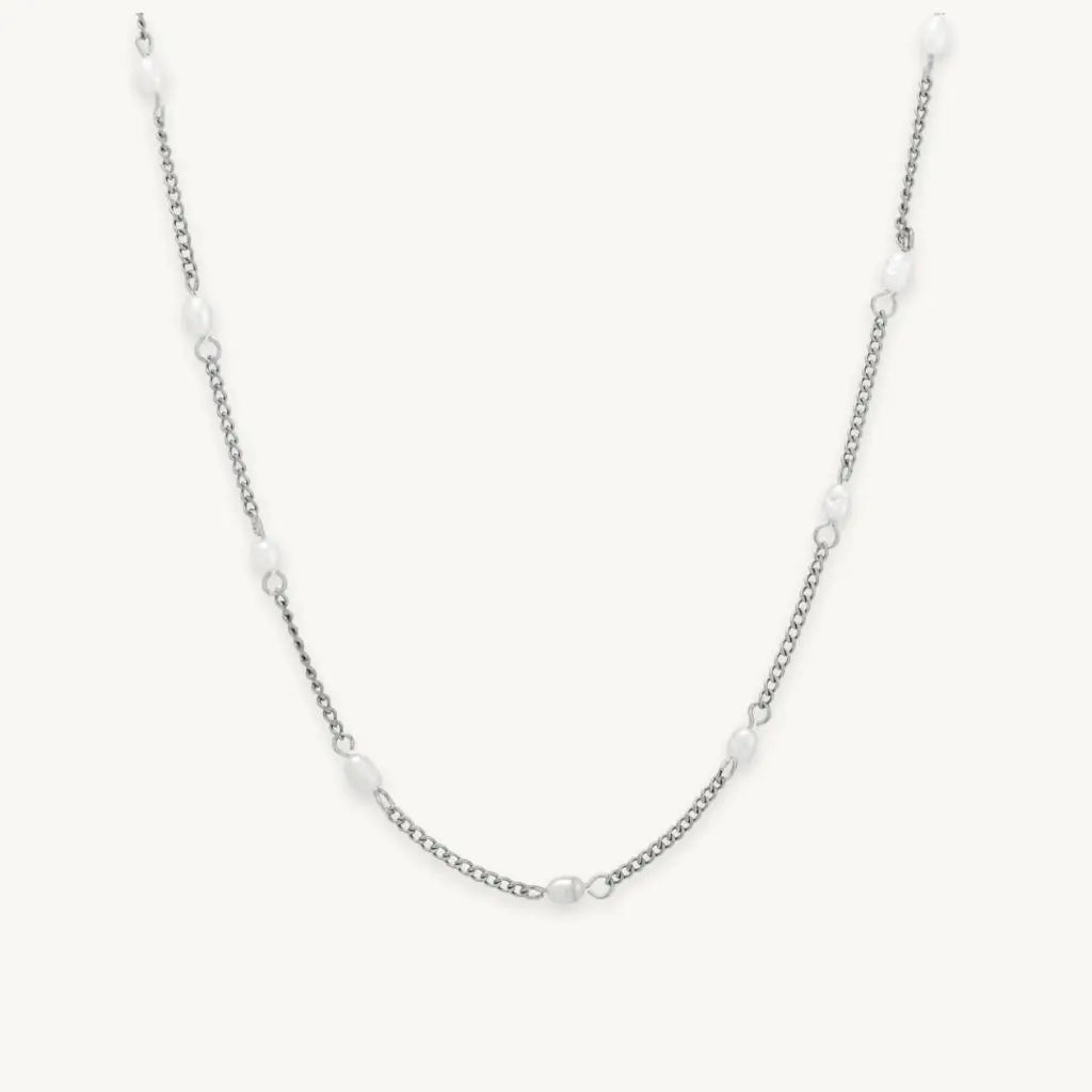 no-repeat center / cover url('https://cdn.shopify.com/s/files/1/0722/0183/0537/files/Silver.webp?v=1761996968')