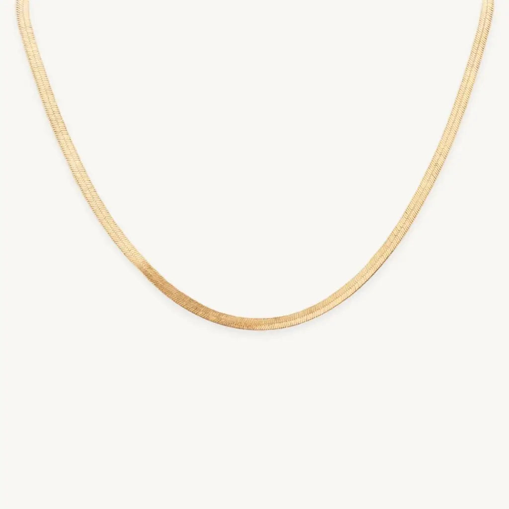 no-repeat center / cover url('https://cdn.shopify.com/s/files/1/0722/0183/0537/files/Gold.webp?v=1761996968')