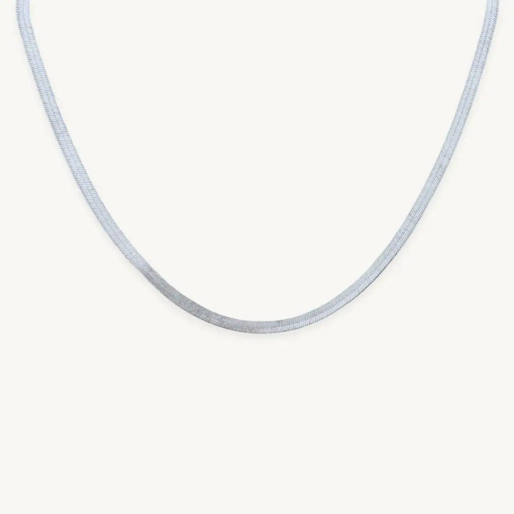 no-repeat center / cover url('https://cdn.shopify.com/s/files/1/0722/0183/0537/files/Silver.webp?v=1761996968')