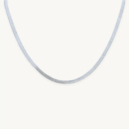 no-repeat center / cover url('https://cdn.shopify.com/s/files/1/0722/0183/0537/files/Silver.webp?v=1761996968')