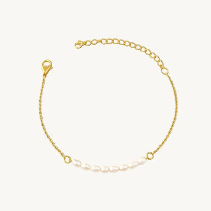 no-repeat center / cover url('https://cdn.shopify.com/s/files/1/0722/0183/0537/files/Gold.webp?v=1761996968')