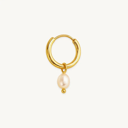 no-repeat center / cover url('https://cdn.shopify.com/s/files/1/0722/0183/0537/files/Gold.webp?v=1761996968')