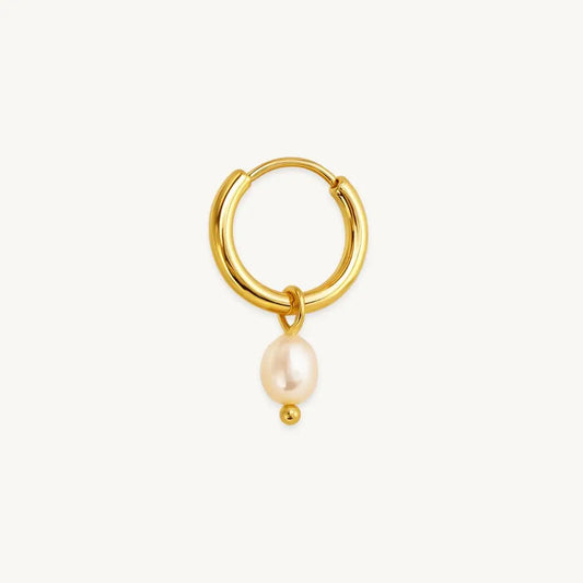 no-repeat center / cover url('https://cdn.shopify.com/s/files/1/0722/0183/0537/files/Gold.webp?v=1761996968')