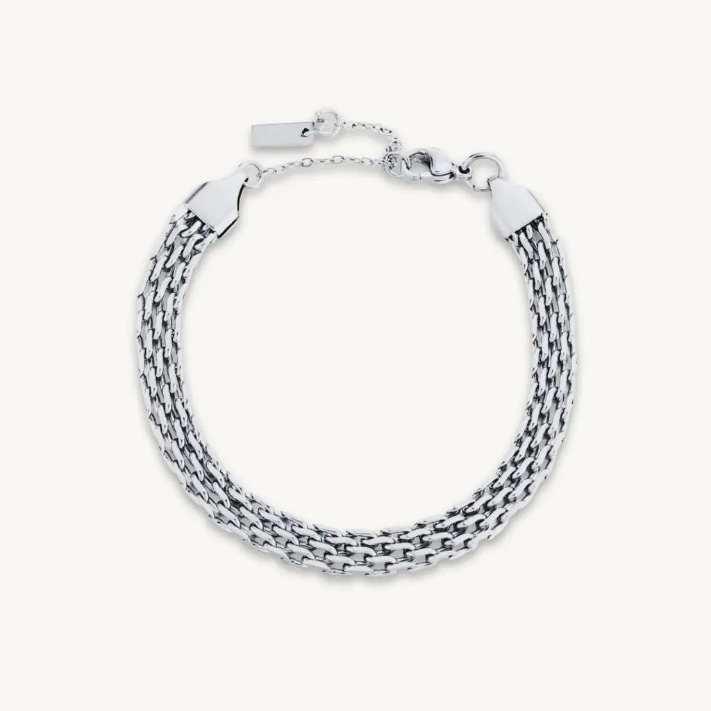 no-repeat center / cover url('https://cdn.shopify.com/s/files/1/0722/0183/0537/files/Silver.webp?v=1761996968')