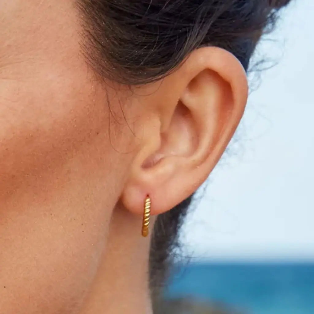 Eilyor waterproof twist earrings 18k PVD on ear