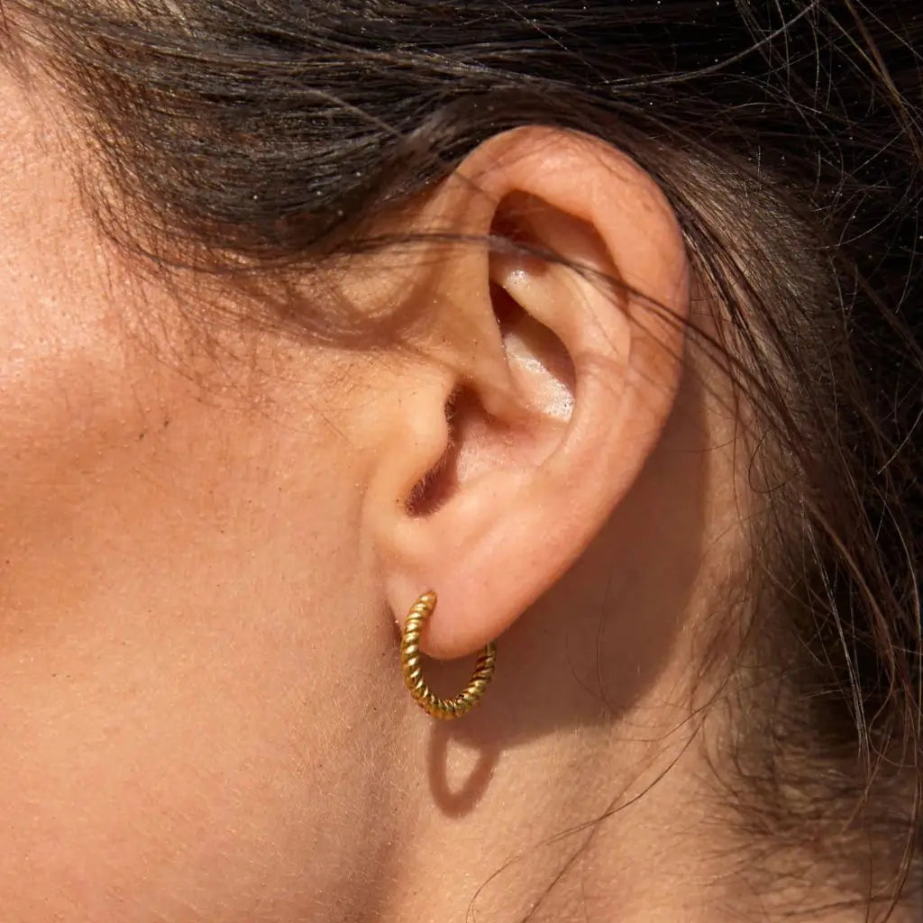 Eilyor waterproof twist earrings 18k PVD on ear